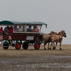 Borkum 