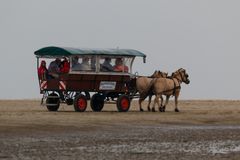 Borkum 