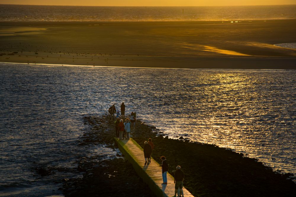 Borkum #9