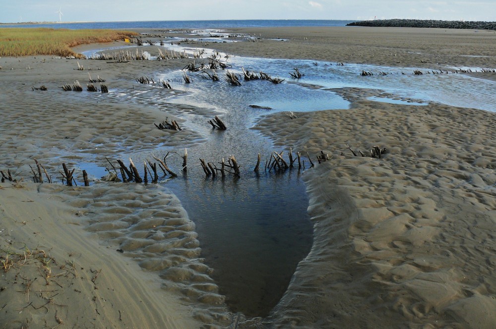 Borkum 