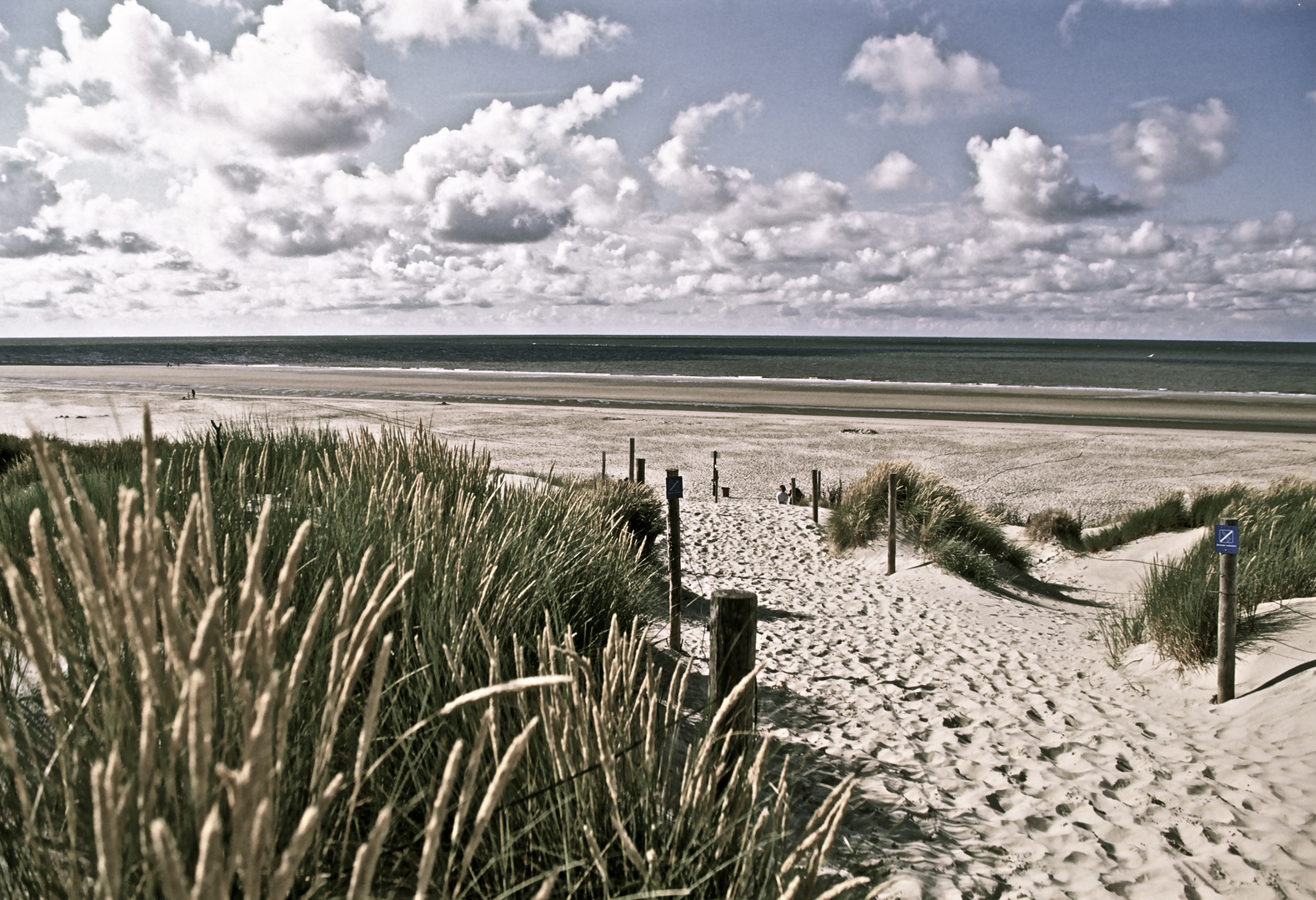 Borkum