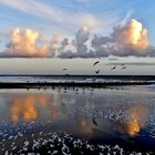 Borkum - Abendstimmung