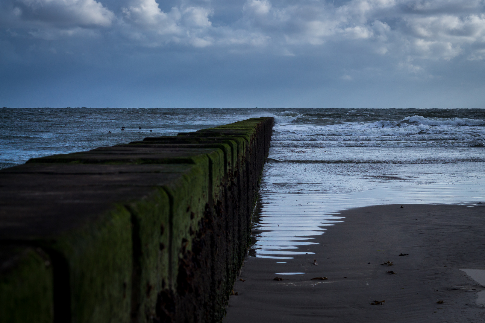 Borkum