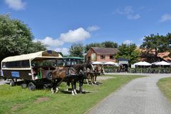 Borkum  -  Akkermanns Kutschfahrten sind auf Borkum sehr beliebt