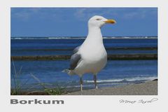 Borkum - Alles im Blick