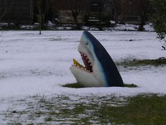 Borkum - An der falschen Stelle aufgetaucht