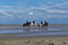 Borkum  -  Auch das Reiten macht hier Spaß