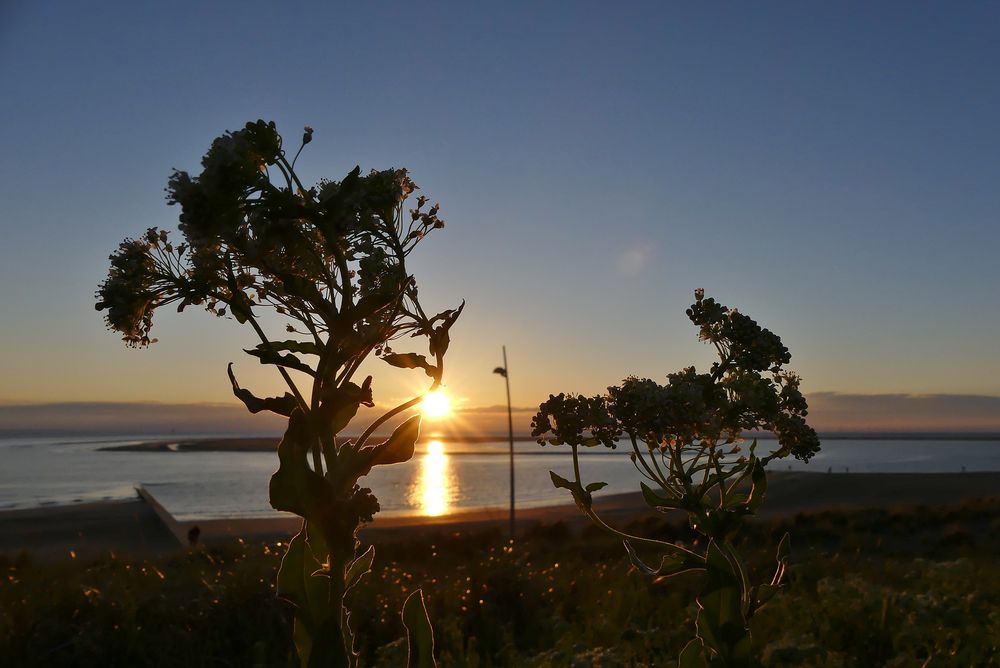 Borkum - Auch heute wieder ein wunderschöner Sonnenuntergang