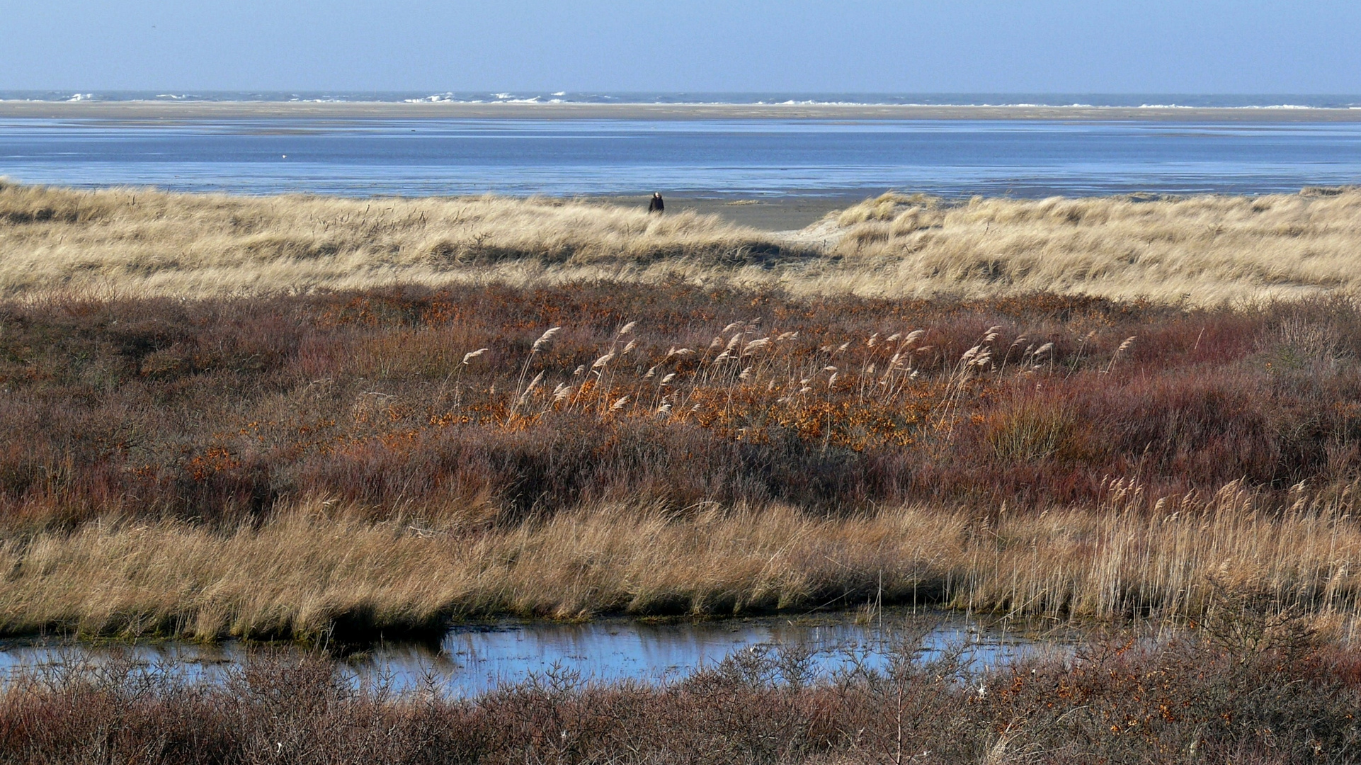 Borkum - Auch hier zeigt der Herbst sein Gesicht