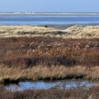 Borkum - Auch hier zeigt der Herbst sein Gesicht