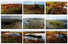 Borkum - Auch im Herbst ein Traum (2) - "Watt`n Meer"