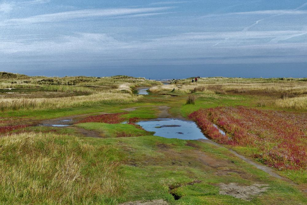 Borkum  -  Auf dem Weg zum Hooge Hörn