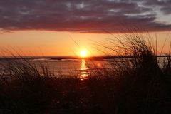 Borkum - Blick durch's Dünengras