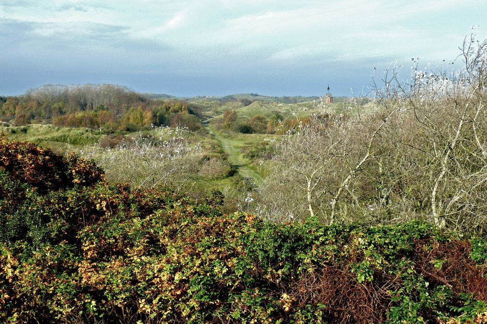 Borkum - Blick vom Aussichtspunkt "Steerenklipp" Richtung Oltmanns Olde Dünen