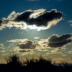 Borkum Blue Monday 1