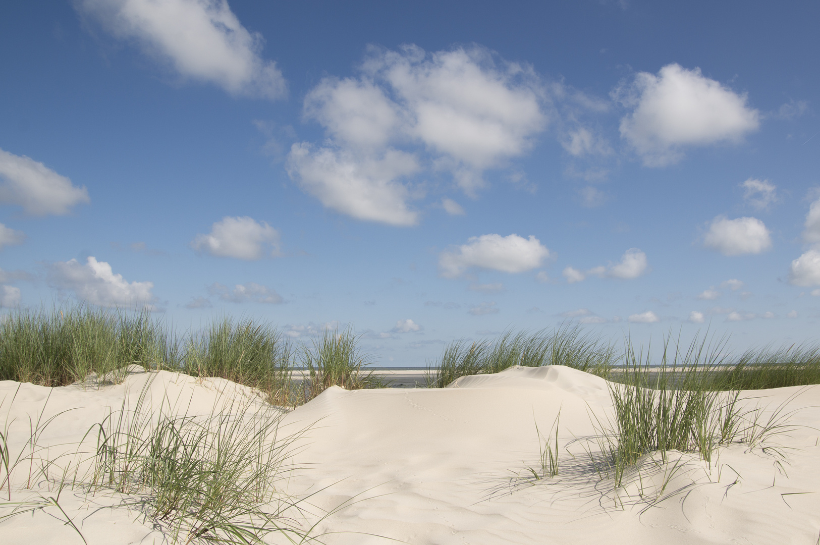 Borkum