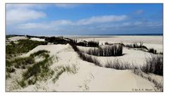 Borkum - das Ostland...