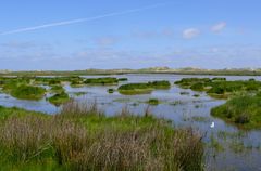 Borkum - Das Paradies vor der Türe