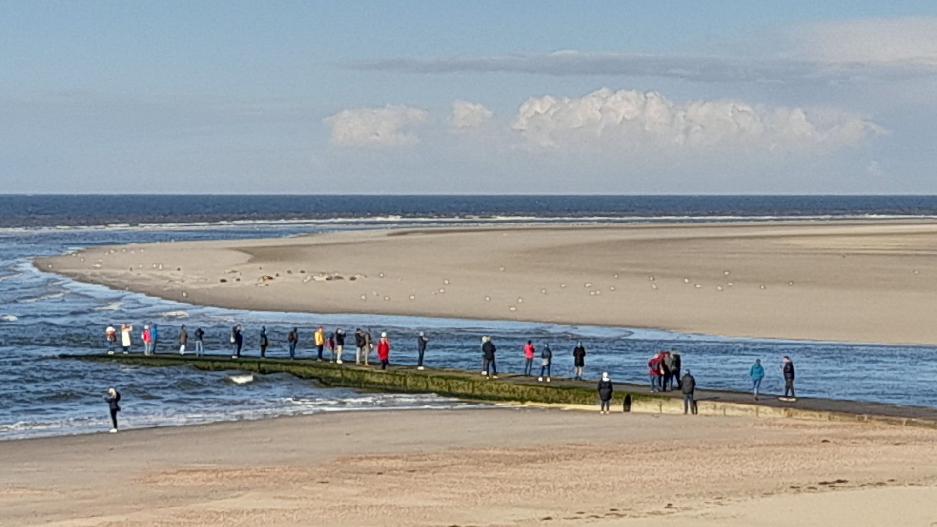 Borkum - Den Seehunden mal ganz nahe sein ...