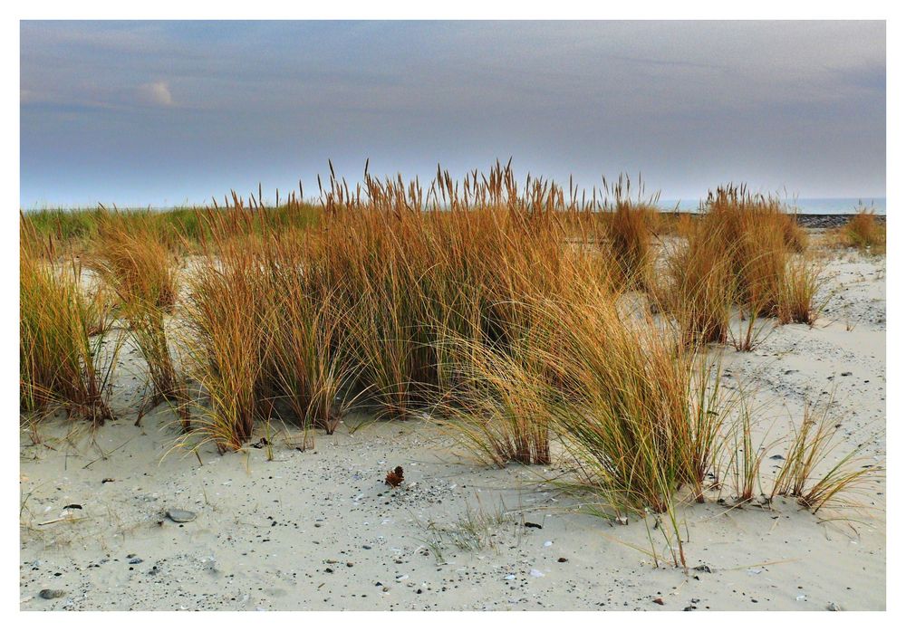 Borkum - Der Herbst kommt auch auf die Insel