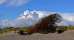 Borkum - Der Herbst zeigt sich auch in den Dünen