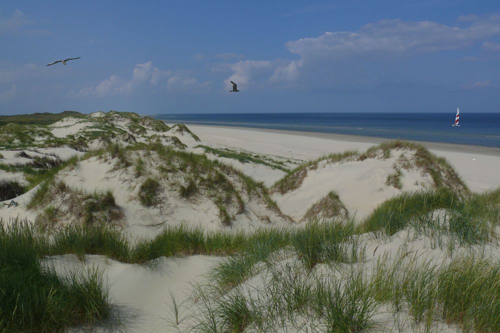 Borkum / Der Nordstrand - Da kann man sich erholen