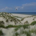 Borkum / Der Nordstrand - Da kann man sich erholen