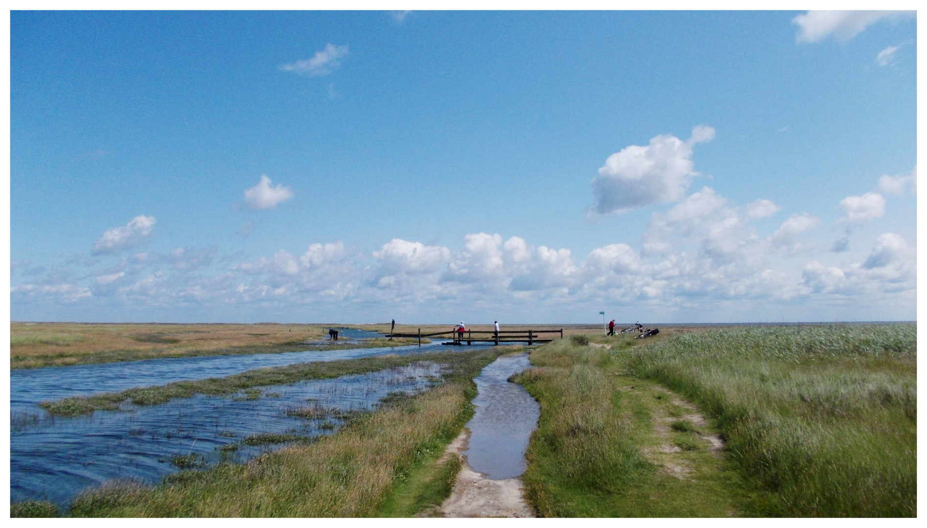 Borkum - Der Salzwiesenweg nach Hooge Hörn