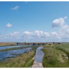 Borkum - Der Salzwiesenweg nach Hooge Hörn