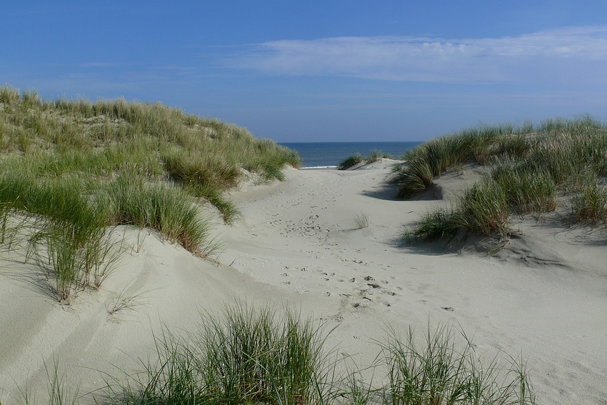 Borkum - Der Weg zum Strand