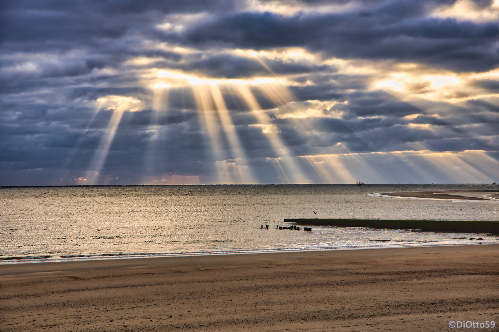 Borkum - die Insel meiner Träume...