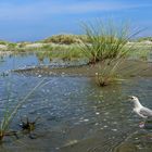 Borkum - Diese Gegend zwischen Ostland und Nordstrand liebe ich besonders