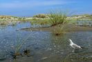 Borkum - Diese Gegend zwischen Ostland und Nordstrand liebe ich besonders by Reinhold Müller 