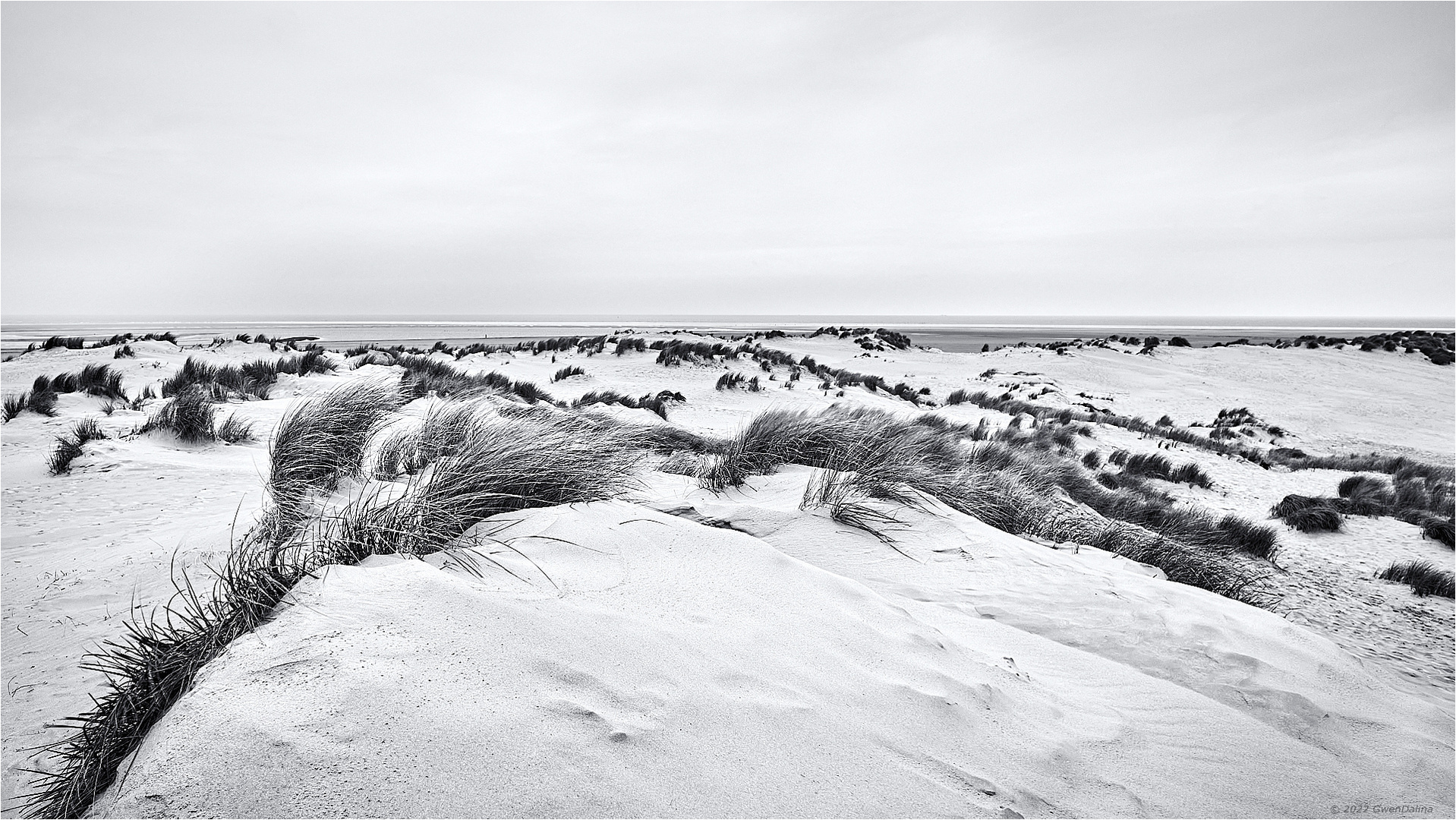 ::: Borkum | Dünen :::