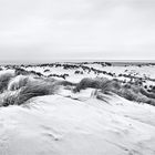 ::: Borkum | Dünen :::