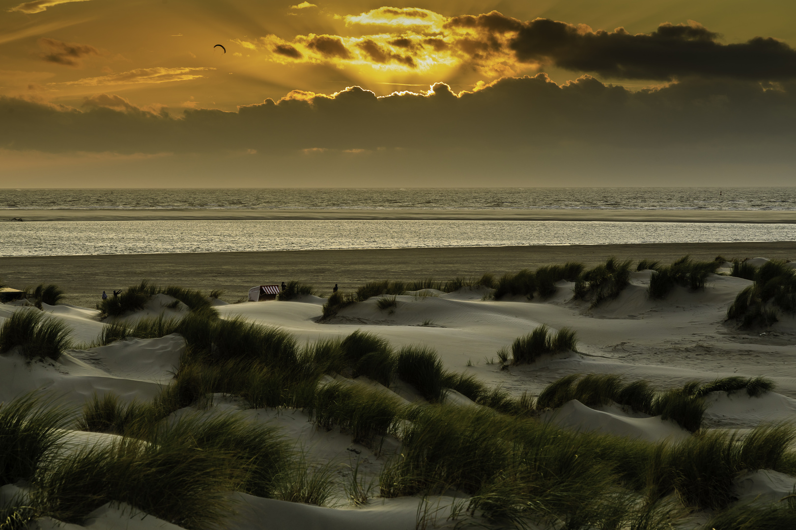 Borkum: Dünenlandschaft im Sonnenuntergang