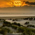 Borkum: Dünenlandschaft im Sonnenuntergang