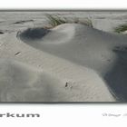 Borkum - Ein herzlicher Gruß von der Insel