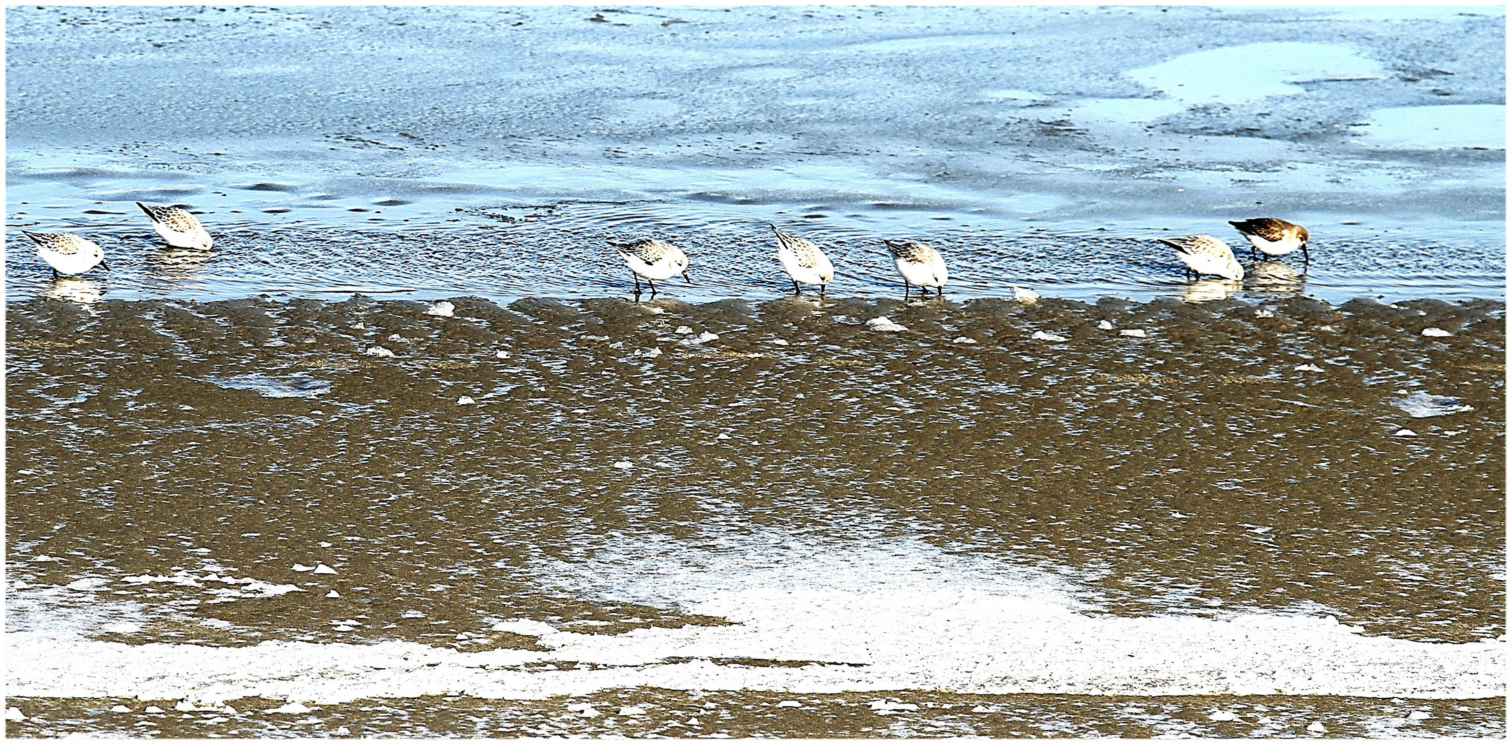 Borkum ... ein Rückblick ... Winter 2011 Foto 5