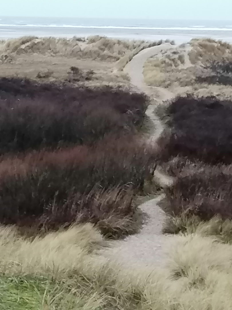 Borkum, ein Weg zum Strand