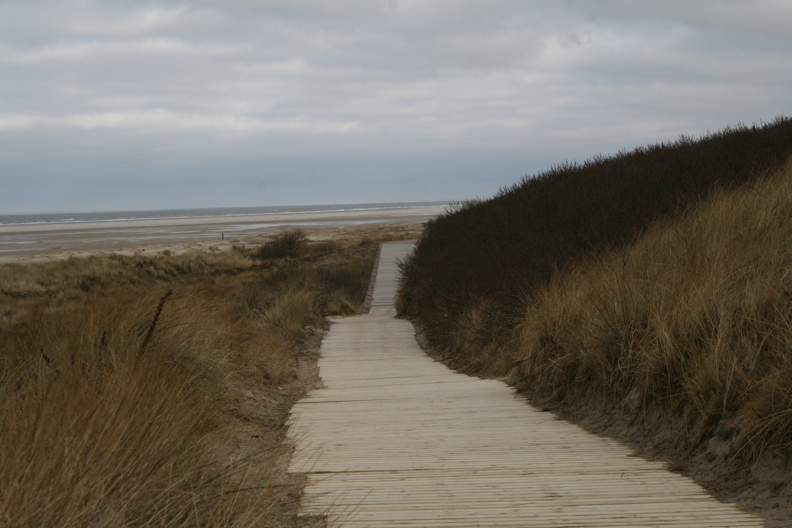 Borkum eine schöne Insel Borkum  in Kreis Leer in Ostfriesland