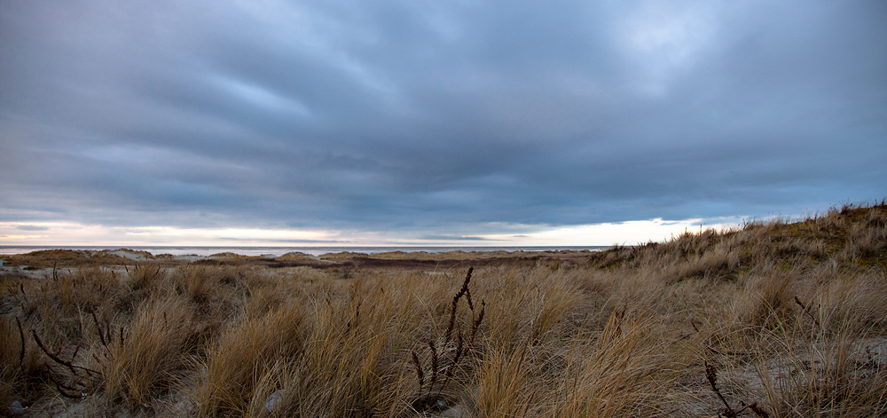 Borkum... erdrückende Landschaft...