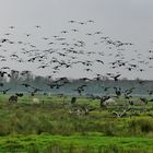 Borkum - Erholung vor dem Weiterflug