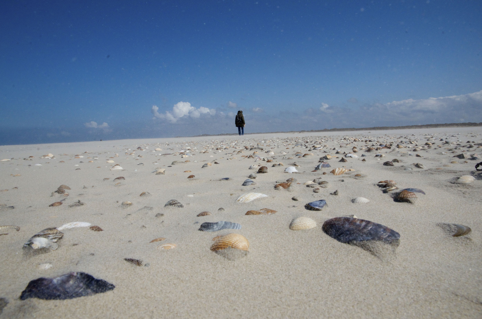 Borkum