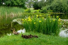 Borkum - Familienidylle am Teich