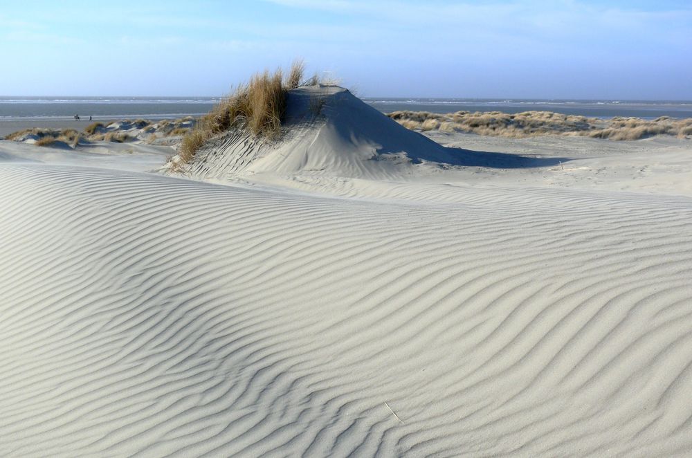 Borkum - Februar in den Nordstranddünen