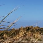 Borkum halt!