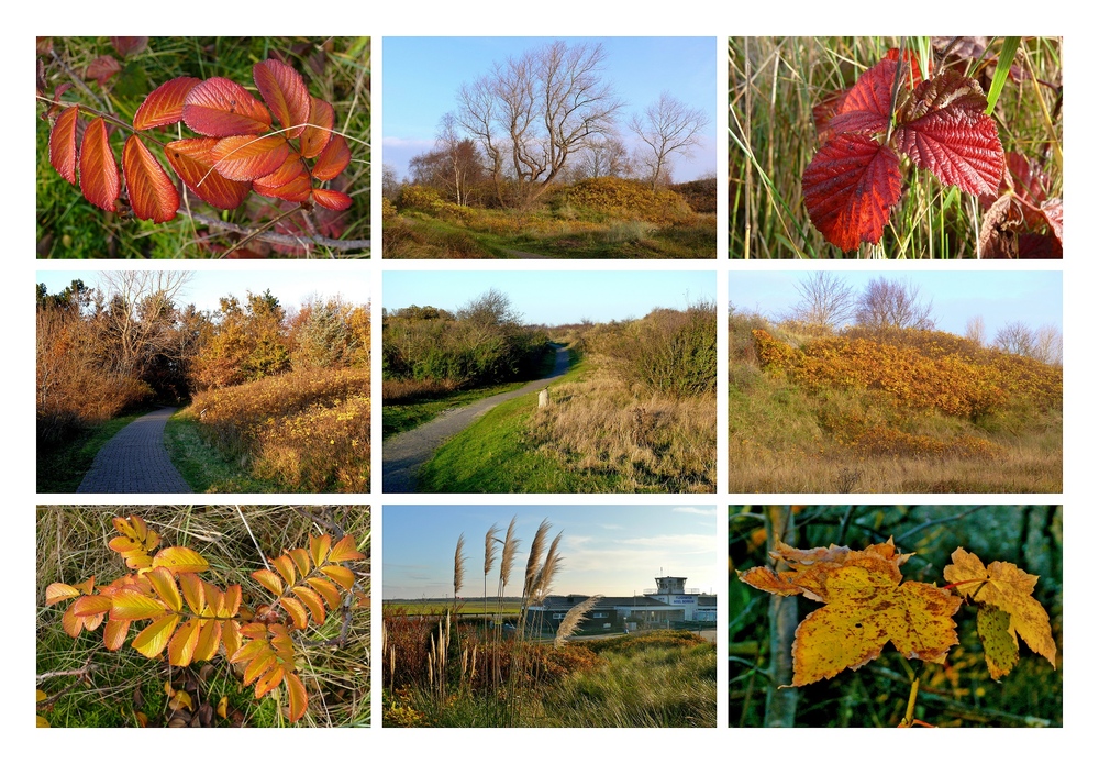 Borkum - Herbst 2014 auf der Insel