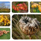 Borkum  -  Herbst-Collage