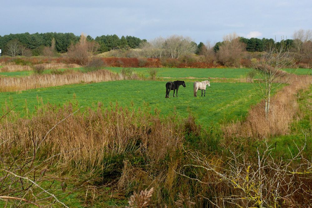 Borkum - Herbstidylle auf der Insel